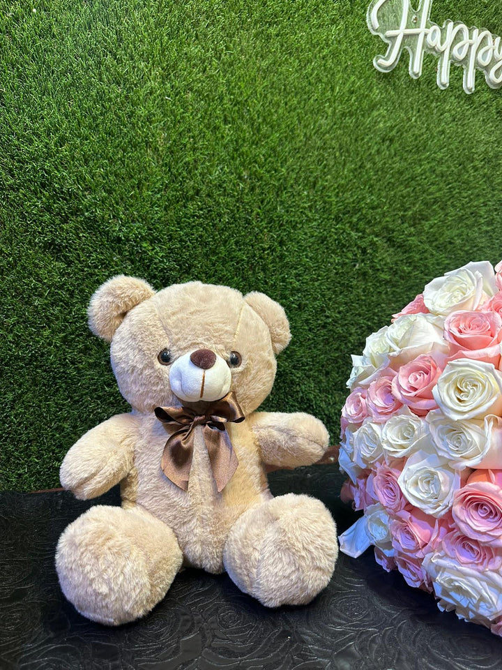 Teddy Bear Gift 🧸