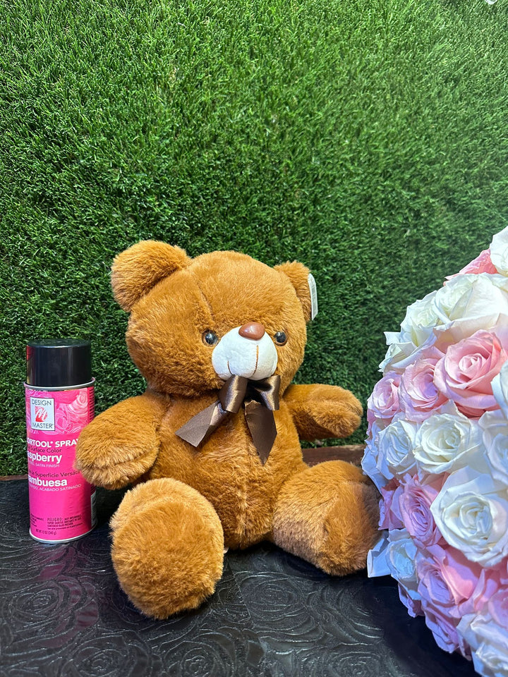Teddy Bear Gift 🧸
